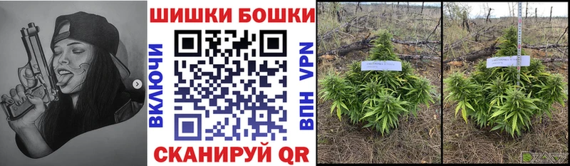 Шишки марихуана MAZAR  Оленегорск 
